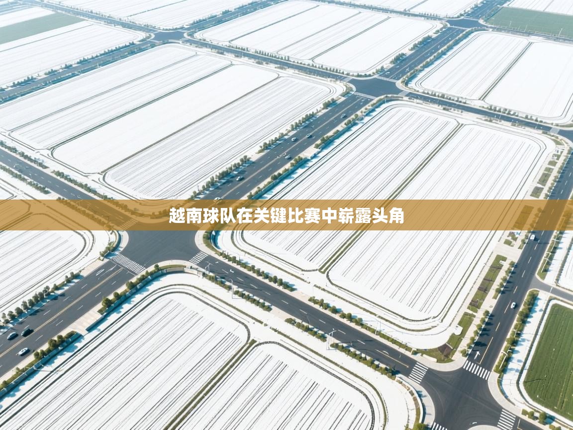 越南球队在关键比赛中崭露头角 第1张