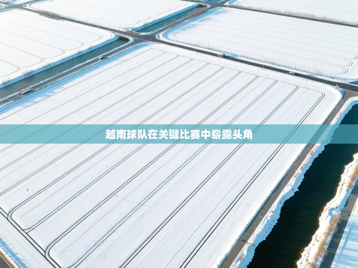 越南球队在关键比赛中崭露头角 第2张