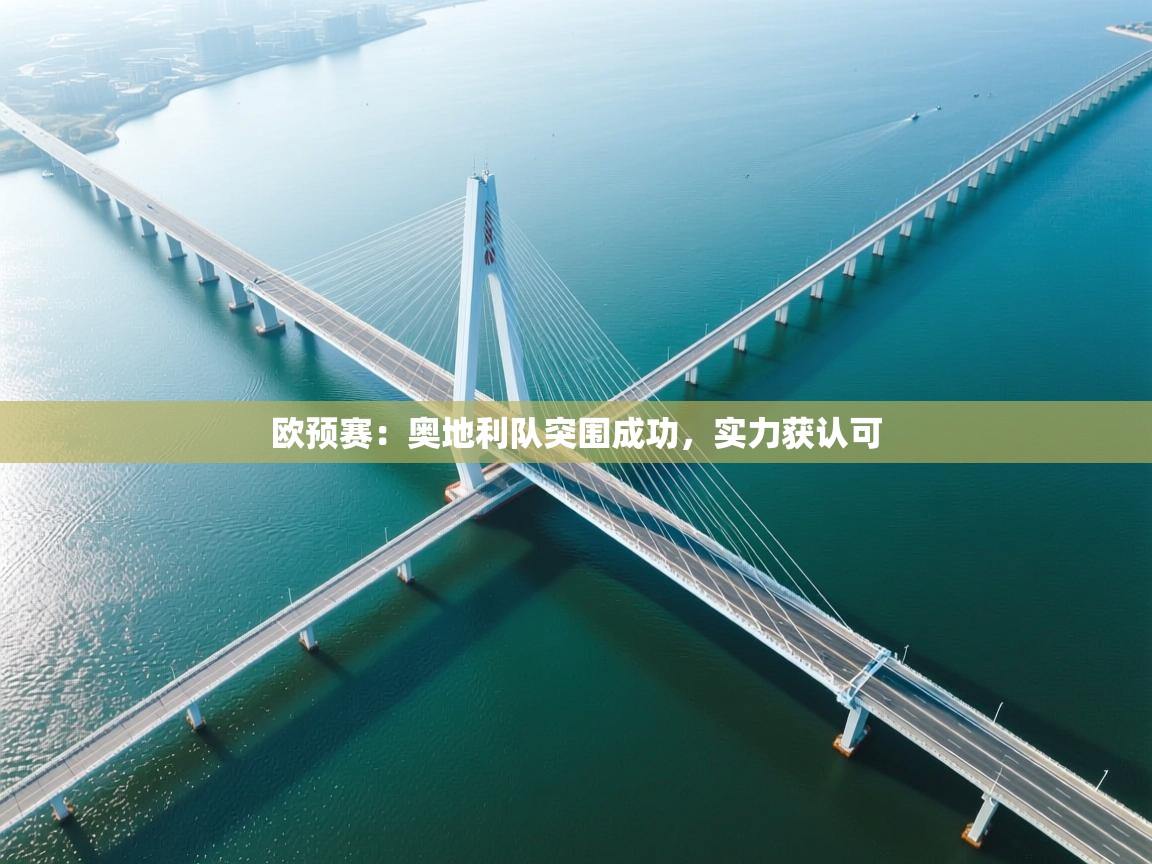 欧预赛：奥地利队突围成功，实力获认可  第2张