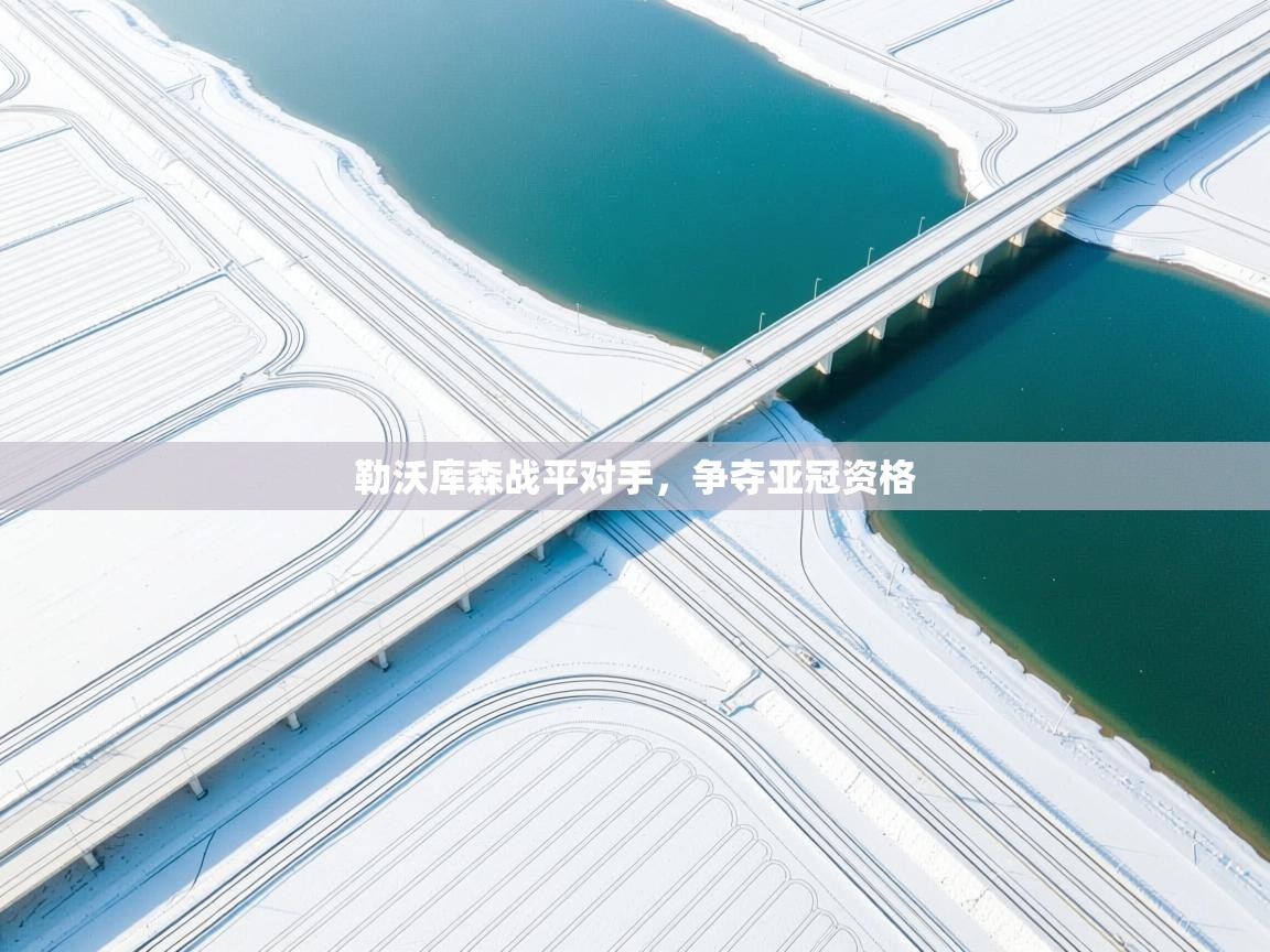 勒沃库森战平对手，争夺亚冠资格  第1张