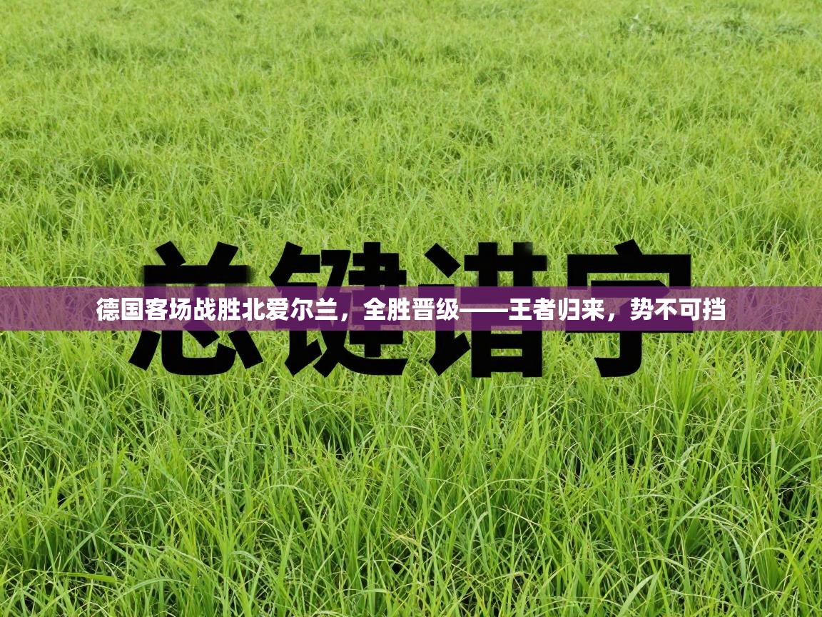 德国客场战胜北爱尔兰,全胜晋级——王者归来,势不可挡 第2张