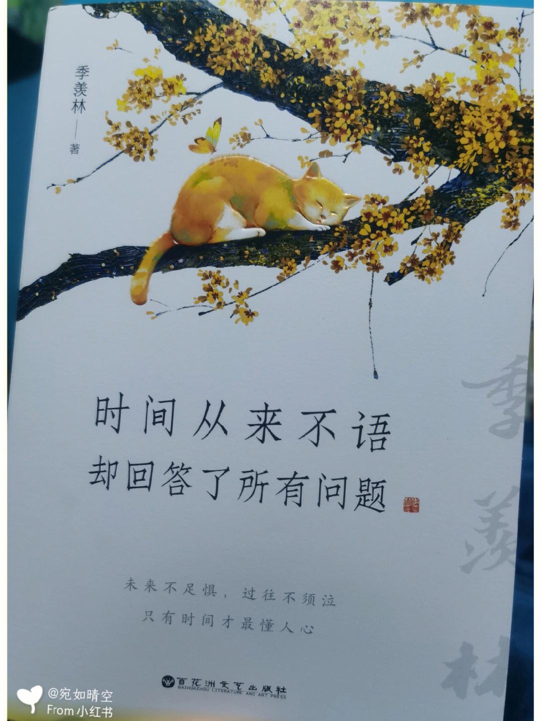 开云体育入口官网-峰回路转！领先地位被反超，重新拼搏