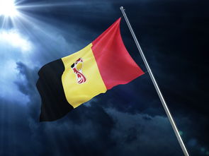开云体育官方网站-比利时队备战波兰，阿扎尔带队争取胜利